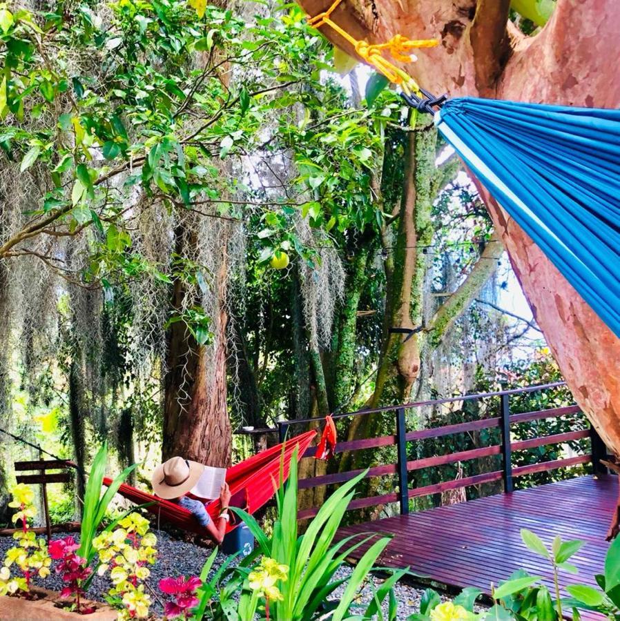 Eco Hostal Casa La Juana Bed & Breakfast Medellin Ngoại thất bức ảnh