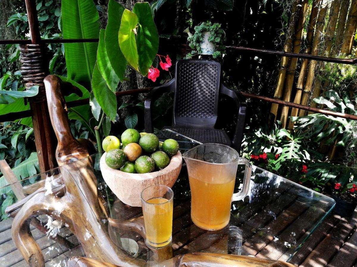 Eco Hostal Casa La Juana Bed & Breakfast Medellin Ngoại thất bức ảnh