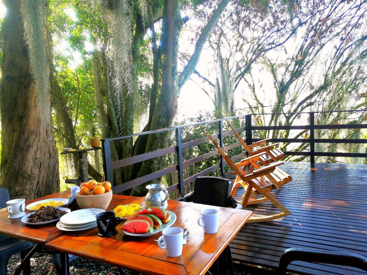 Eco Hostal Casa La Juana Bed & Breakfast Medellin Ngoại thất bức ảnh