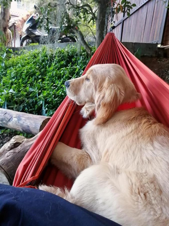 Eco Hostal Casa La Juana Bed & Breakfast Medellin Ngoại thất bức ảnh