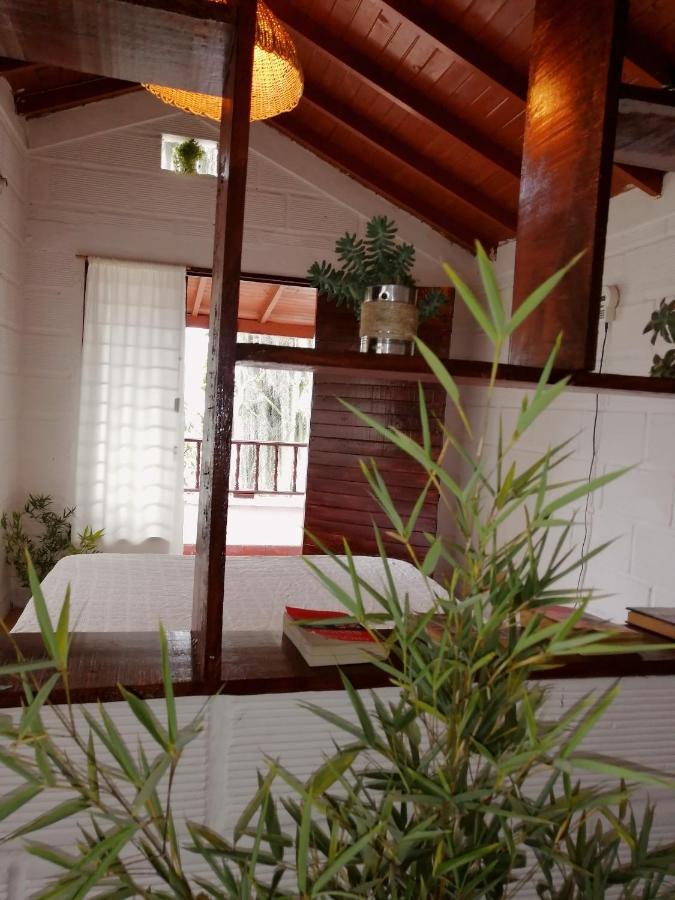Eco Hostal Casa La Juana Bed & Breakfast Medellin Ngoại thất bức ảnh