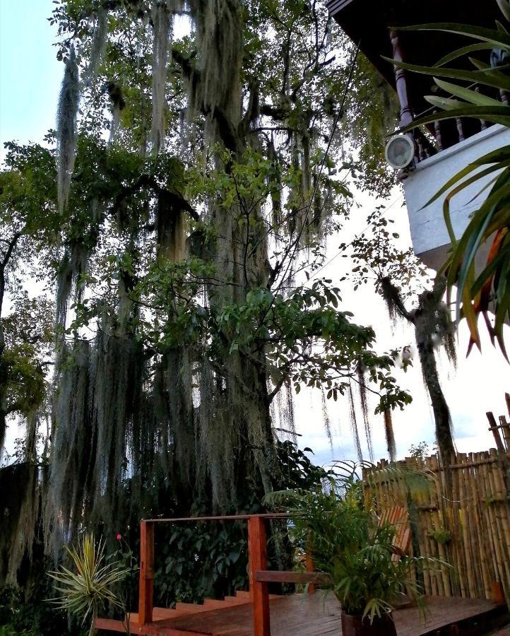 Eco Hostal Casa La Juana Bed & Breakfast Medellin Ngoại thất bức ảnh