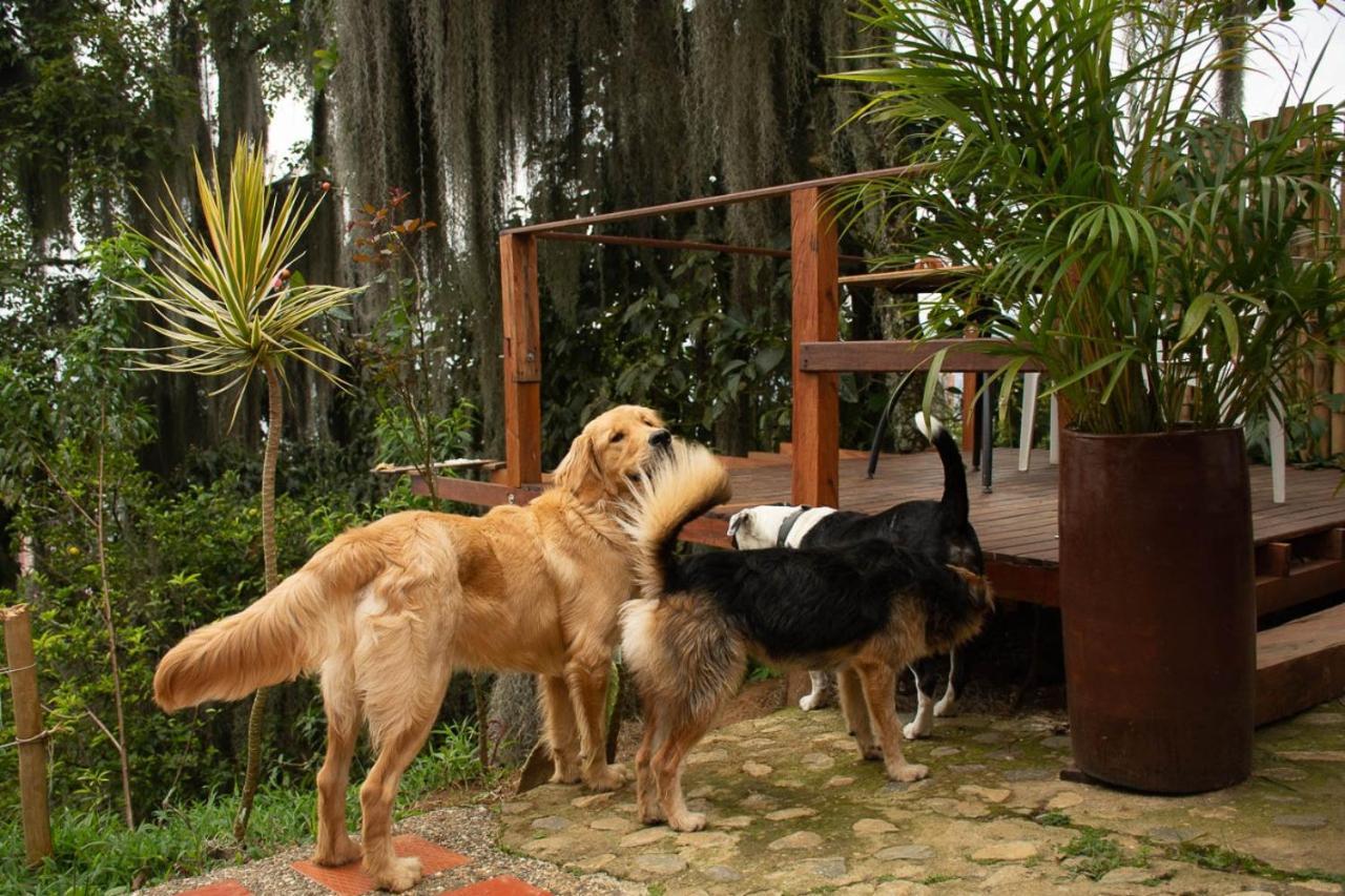 Eco Hostal Casa La Juana Bed & Breakfast Medellin Ngoại thất bức ảnh
