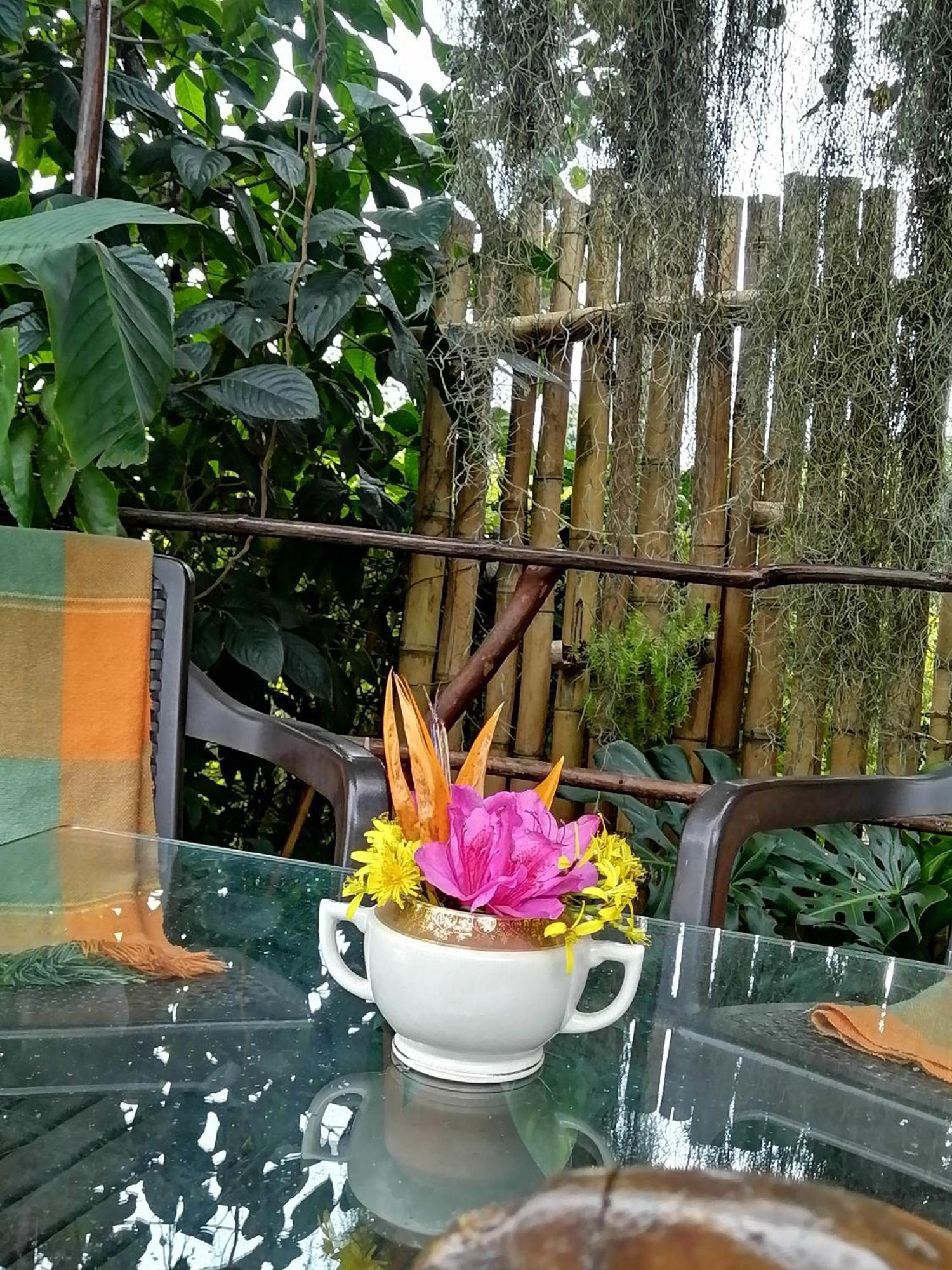 Eco Hostal Casa La Juana Bed & Breakfast Medellin Ngoại thất bức ảnh