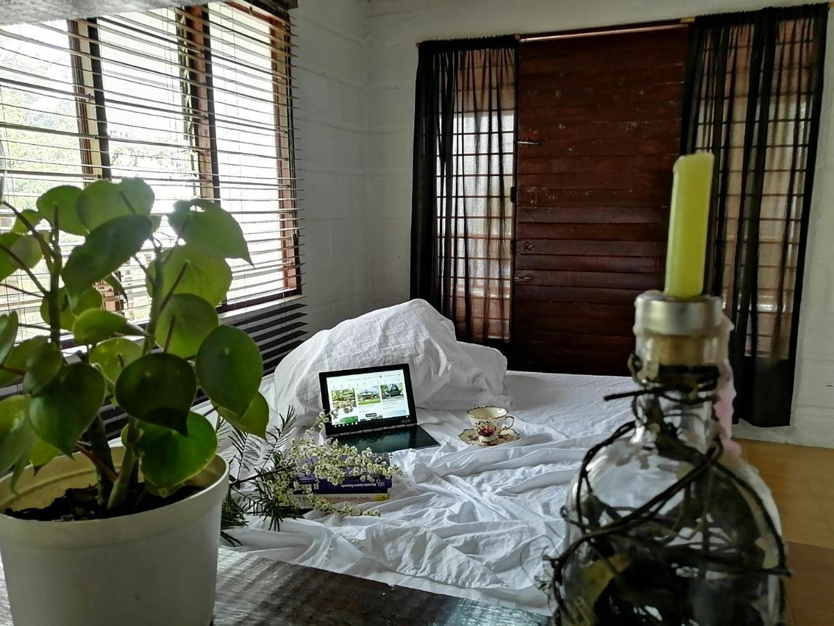 Eco Hostal Casa La Juana Bed & Breakfast Medellin Ngoại thất bức ảnh